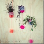 Hngeplanter-Foto-og-styling-Dorthe-Kvist-Meltdesignstudio_thumb.jpg