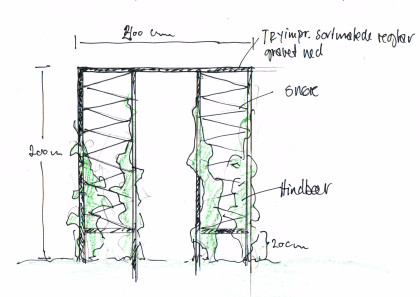 Espalier til hindbær