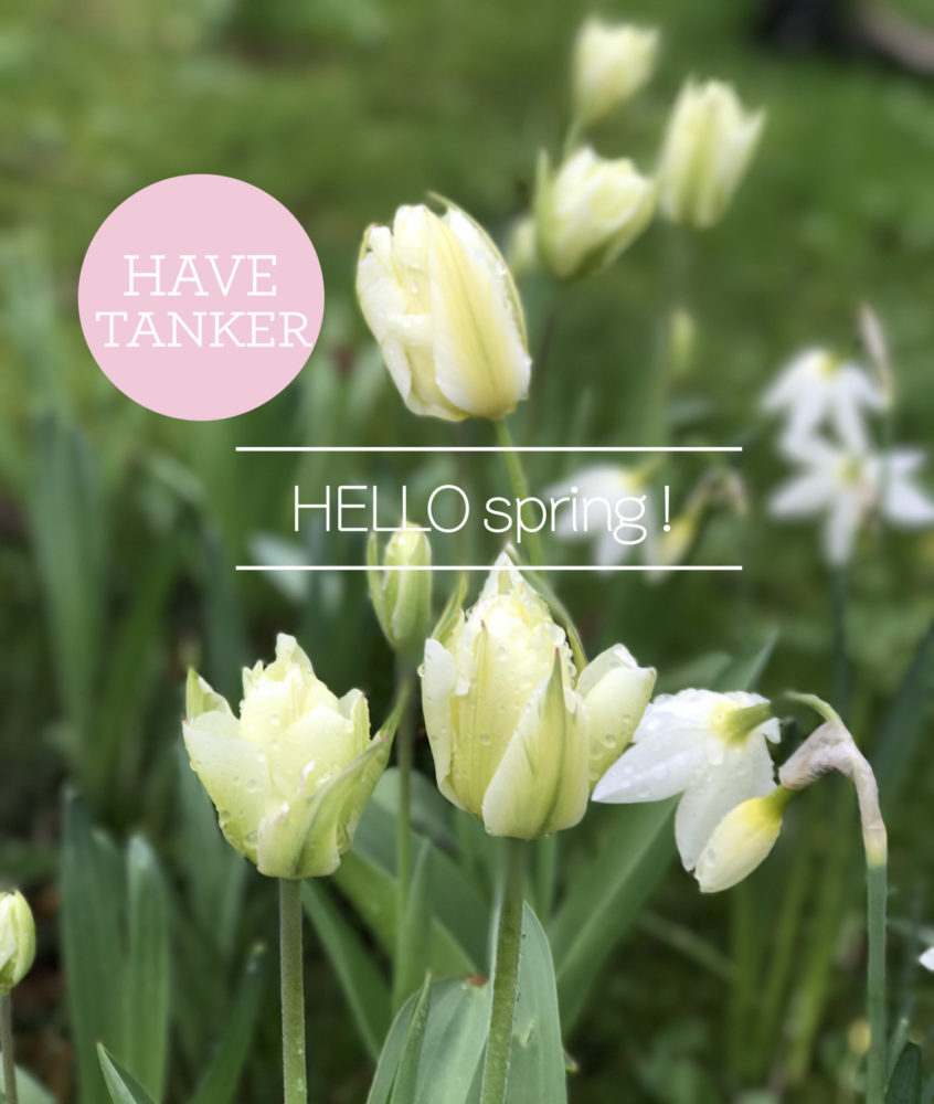 Hello Spring Foto Dorthe Kvist Meltdesignstudio