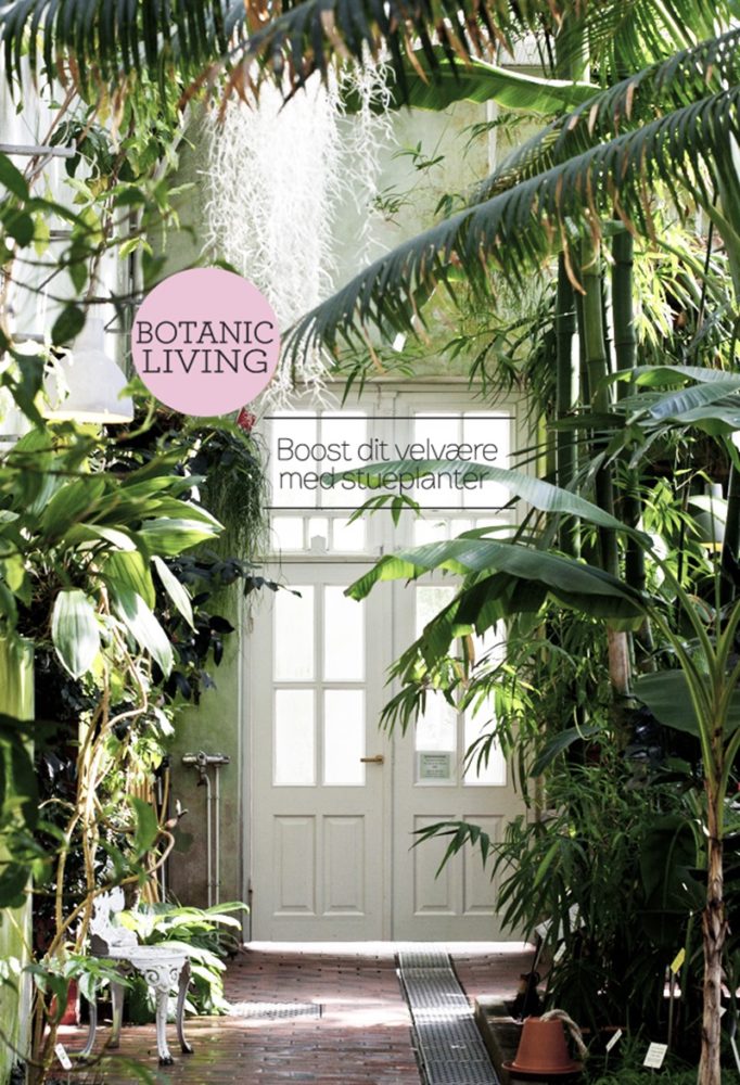 Botanic living Boost dit velvære med stueplanter Dorthe Kvist Meltdesignstudio