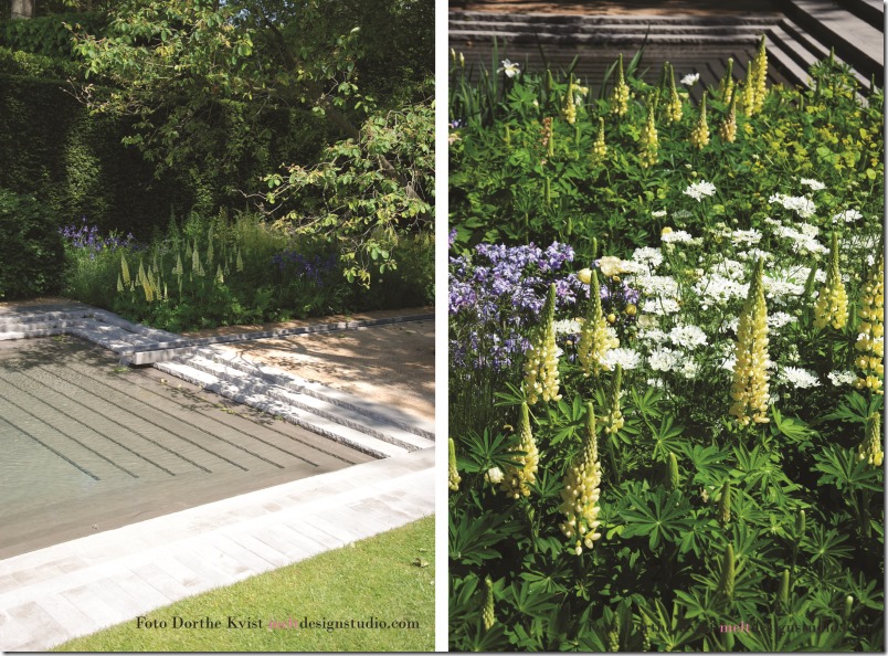 Winner garden Chelsea flowershow 2014 Foto Dorthe Kvist Meltdesignstudio.1
