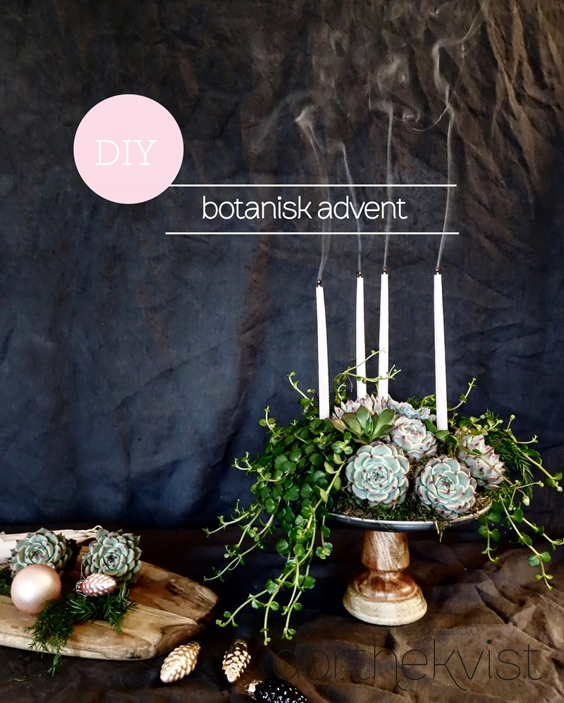 DIY Botanisk advent Foto og styling Dorthe Kvist Meltdesignstudio 5