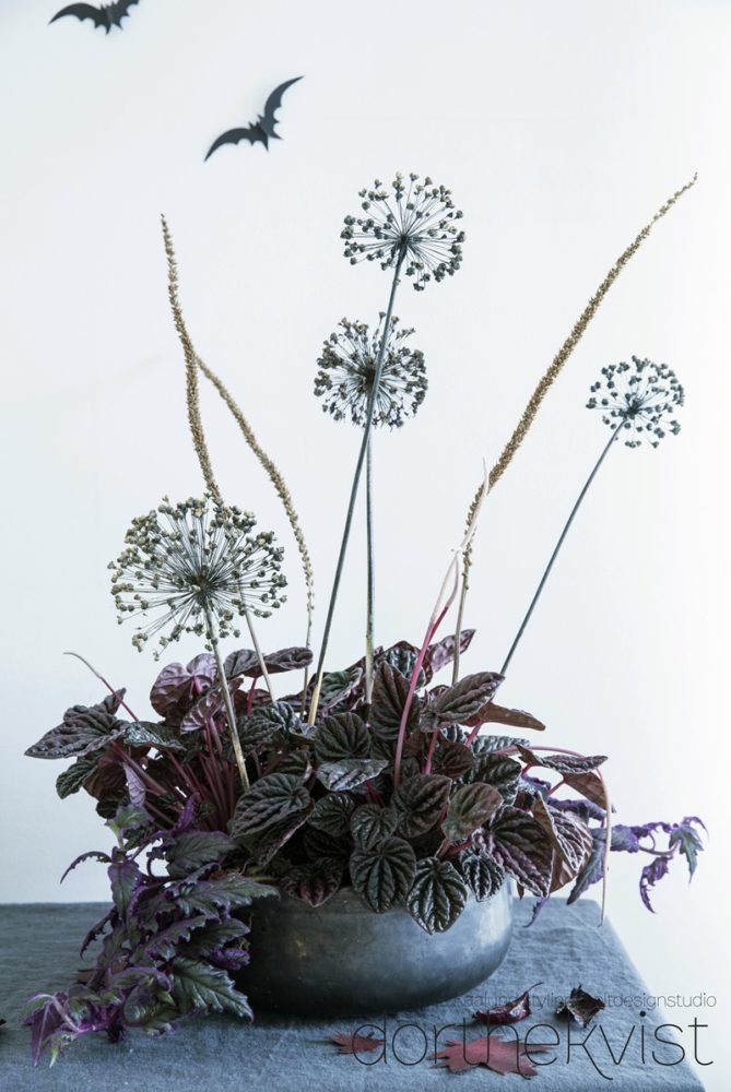 DIY Botanisk Halloween Foto Pernille Kaalund Styling Dorthe Kvist Meltdesignstudio 1