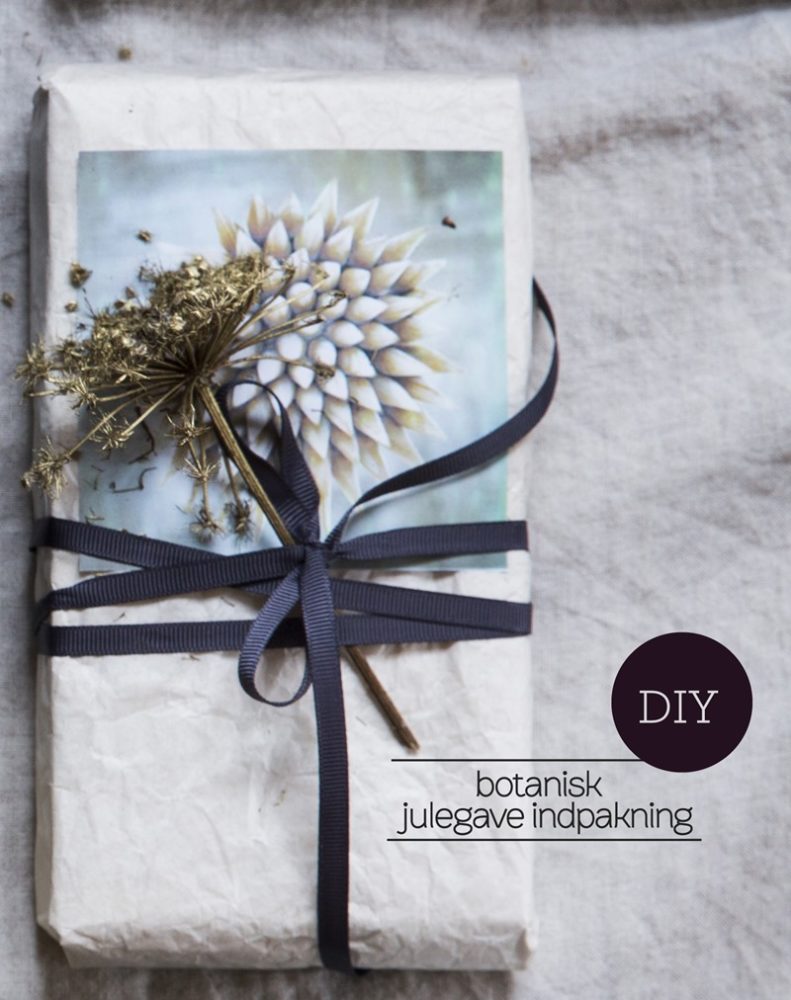 Diy Botanisk julegaveindpakning foto Martin Sølyst Idé og Styling Dorthe Kvist Meltdesignstudio  D