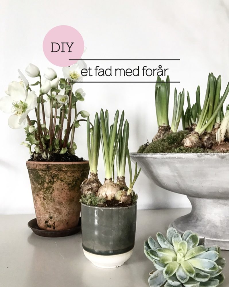 DIY Et fad med forår Foto og styling Dorthe Kvist Meltdesignstudio