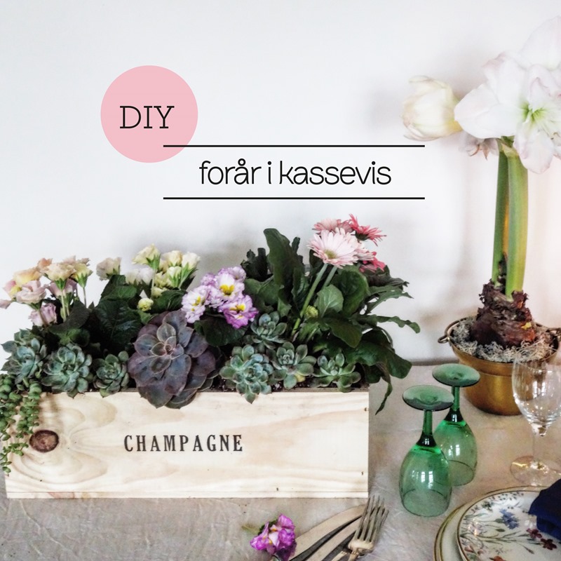 DIY Forår i kassevis Foto og styling Dorthe Kvist Meltdesignstudio 1