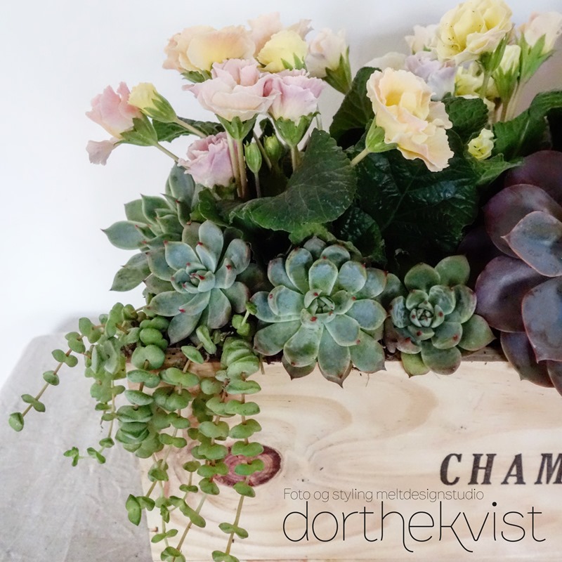 DIY Forår i kassevis Foto og styling Dorthe Kvist Meltdesignstudio 10