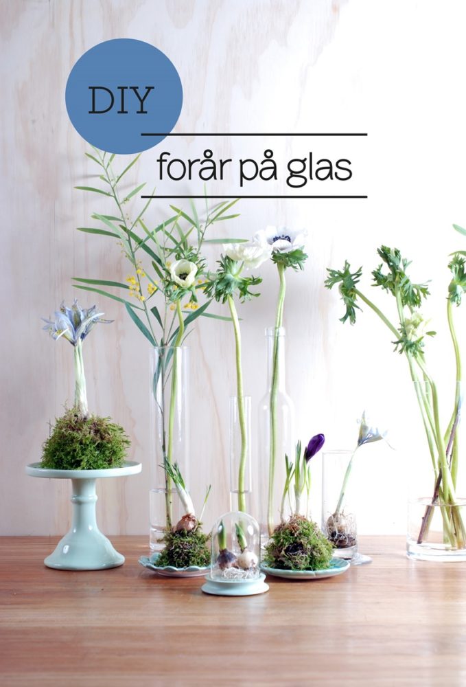 DIY forår på glas foto og styling Dorthe Kvist Meltdesignstudio (3)
