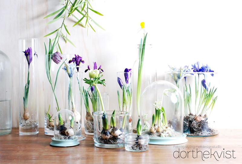 DIY forår på glas foto og styling Dorthe Kvist Meltdesignstudio (1)