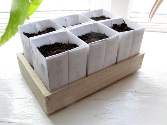 Heirloom Seed Kit in Paper Envelopes