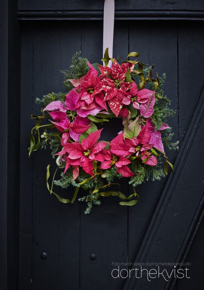 Poinsettia dag 2016 foto Martin Sølyst styling Dorthe Kvist Meltdesignstudio a