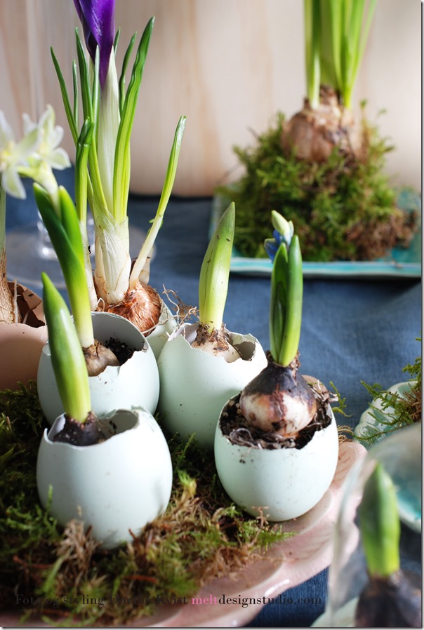 Easter styling Foto og styling Dorthe Kvist Meltdesignstudio d