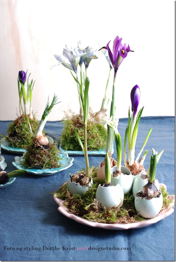 Easter styling Foto og styling Dorthe Kvist Meltdesignstudio f