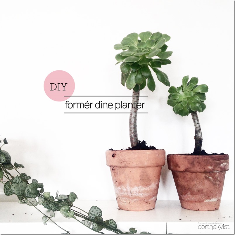 Formér dine potteplanter DIY Botanik Dorthe Kvist Meltdesignstudio f