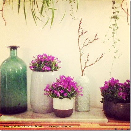 Campanula springflowers foto og styling Dorthe Kvist Meltdesignstudio c