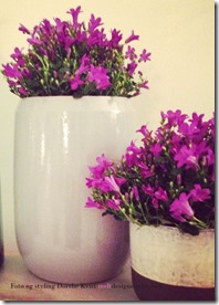 Campanula springflowers foto og styling Dorthe Kvist Meltdesignstudio b