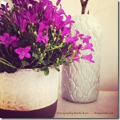 Campanula springflowers foto og styling Dorthe Kvist Meltdesignstudio f