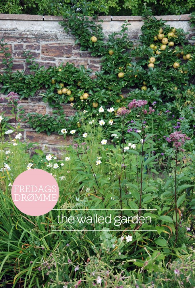 Fredagsdrømme the walled garden Foto Dorthe Kvist Meltdesignstudio