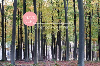 HAvetips til den dovne gartner Foto Dorthe Kvist Meltdesignstudio c