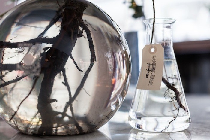 Sprouting Roots at Landet Järna Flower Shop in Sweden | Gardenista