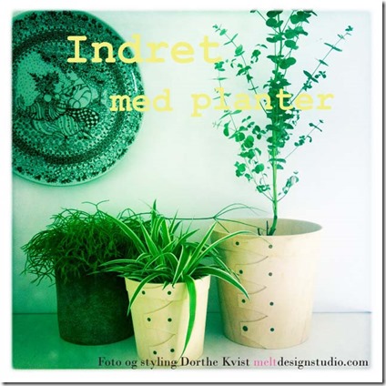 Indret med planter Foto og styling Dorthe Kvist