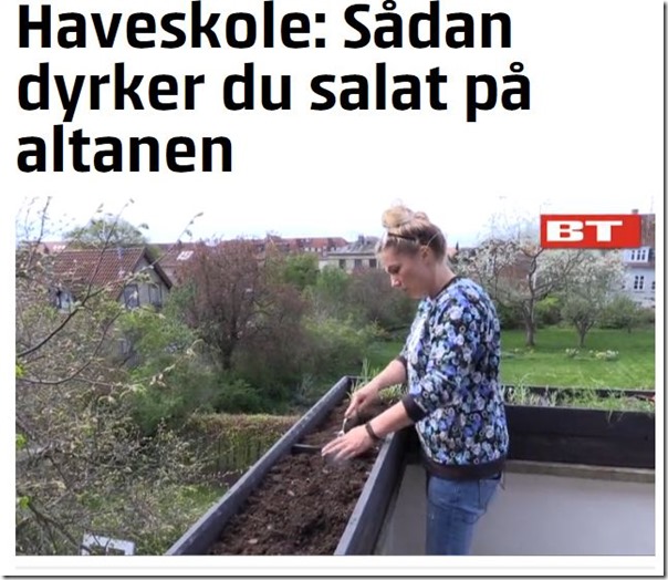 Kvistens haveskole BT sådan dyrker du salat på altanen