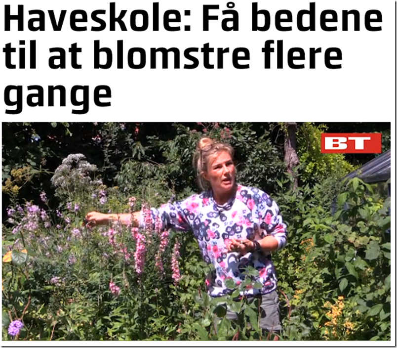 Kvistens haveskole få bedene til at blomster flere gange Dorthe Kvist Meltdesignstudio d