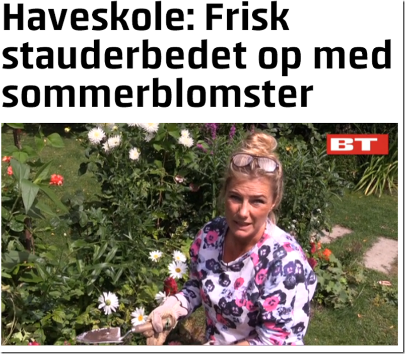 Kvistens haveskole frisk staudebedet op med sommerblomster Dorthe Kvist Meltdesignstudio k