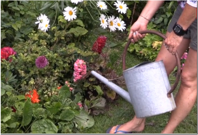 Kvistens haveskole frisk staudebedet op med sommerblomster Dorthe Kvist Meltdesignstudio a