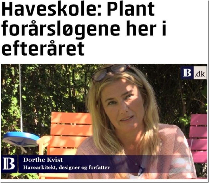 Kvistens haveskole Plant forårsløgene i efteråret Dorthe Kvist Meltdesignstudio 1