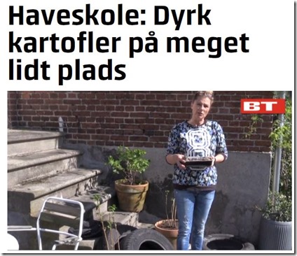 Dyrk kartofle rpå lidt plads Kvistens haveskole