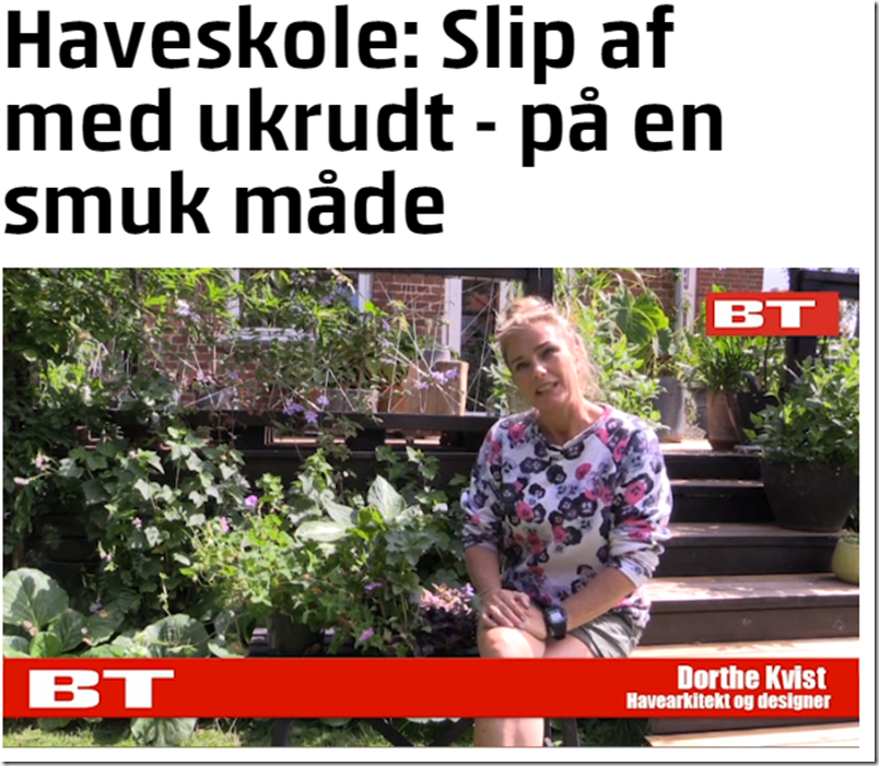 Kvistens haveskole Slip af med ukrudtet på en smuk måde Dorthe Kvist Meltdesignstudio b