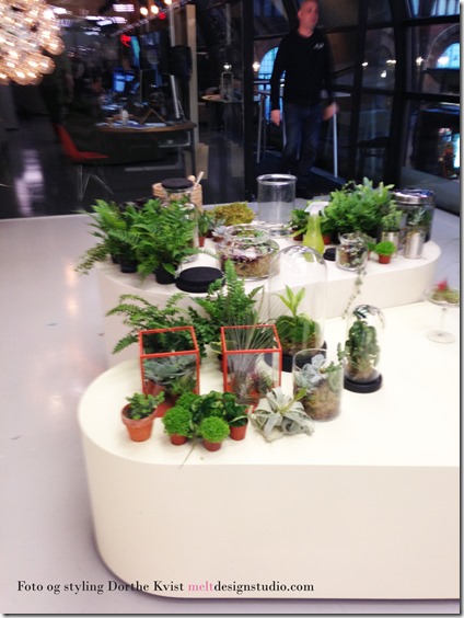 Terrariehaven foto og styling Dorthe Kvist Meltdesignstudio 13