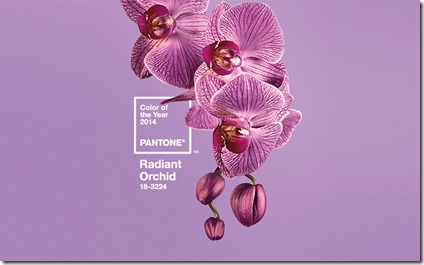 Pantone orchid
