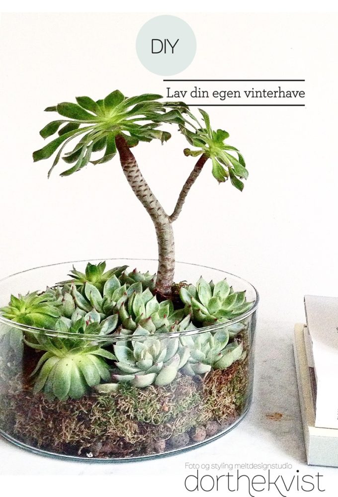 DIY lav din egen vinterhave Foto og styling Dorthe Kvist Meltdesignstudio (A)