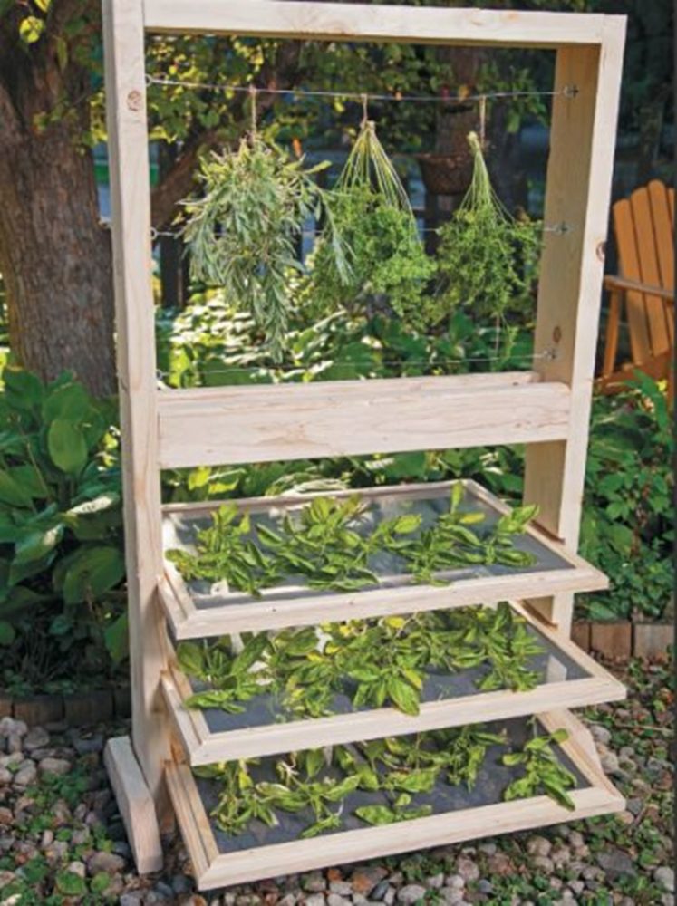 herb-drying-rack-beauty-325