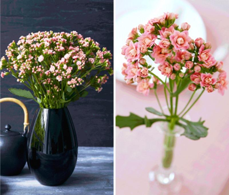 Sig det med blomster der varer i ugevis Dorthe Kvist Meltdesignstudio e