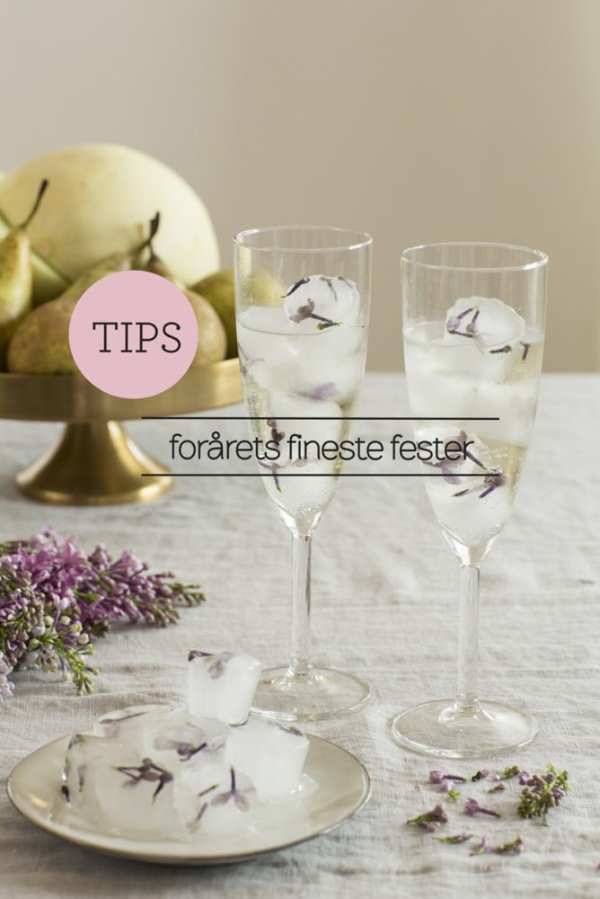 Tips Forårets fineste fester Foto Pernille Kaalund Styling Dorthe Kvist Meltdesignstudio