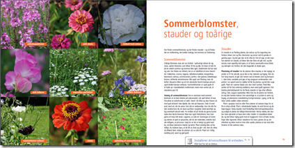 Blomster