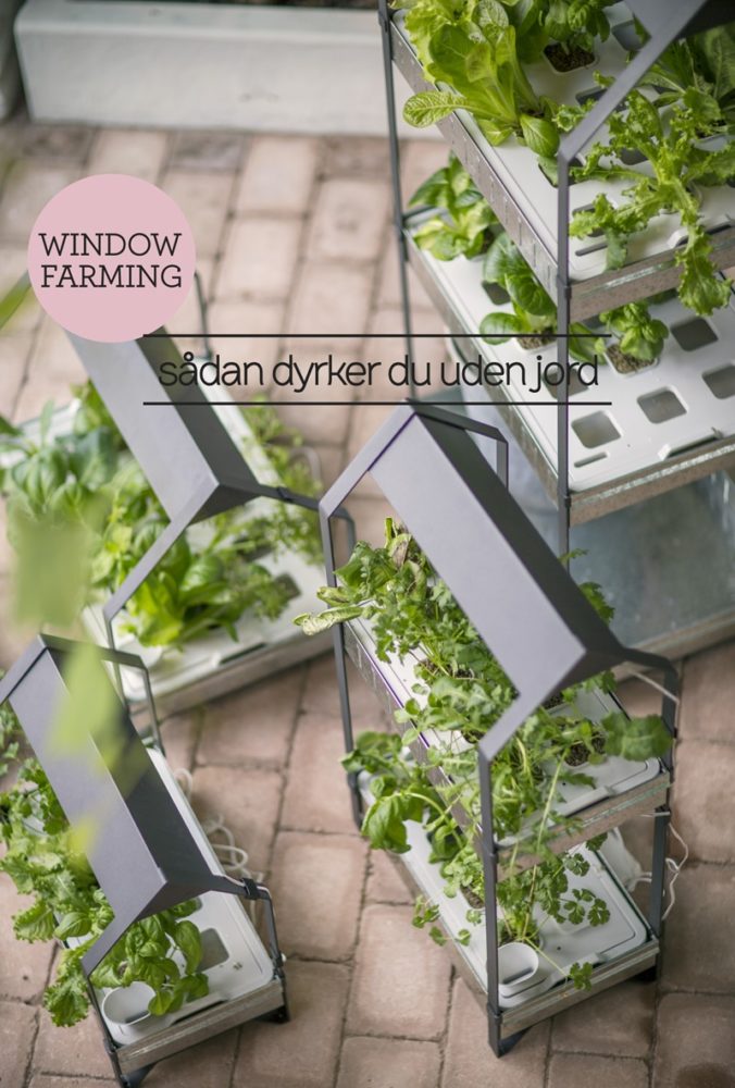 Window gardening sådan dyrker du uden jord  IKEA Dorthe Kvist Meltdesignstudio a